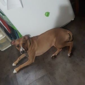 Meet your Posher, Samantha